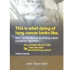 John Player Bold Regular 25pk Carton